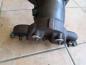 Preview: Fiat Idea Kat Katalysator Kr?mmer 55182899
