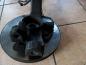 Preview: Audi A4 B5 Achsschenkel Radnabe Vorne Links 8D0407257