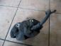 Preview: Ford Focus II Bremssattel Vorne Links