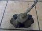 Preview: BMW E46 316ti Bremssattel Bremse Hinten Links