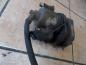Preview: Skoda Octavia 1U Bremssattel Vorne Links