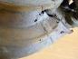 Preview: Opel Astra G Achsschenkel mit Bremssattel Hinten Rechts