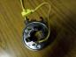 Preview: Ford Ka Wickelfeder Schleifring Airbag 96FB14A664BA