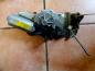 Preview: Renault Laguna K56 Scheibenwischermotor Hinten 0390206511 1397020052