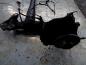 Preview: Opel Zafira A Hinterachse Achse Achstr?ger Hinten mit Kabelbaum ABS 90582204