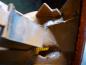 Preview: Ford Escort Blinker Beifahrerseite Hinten Rechts 91AG13368BA