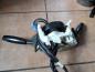 Preview: Kia Sportage I Wischerschalter Lenkstockschalter Schleifring K24066120