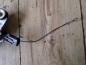 Preview: Ford Focus I Scheibenwischermotor Hinten 0390201552 XS41N17K441AA