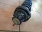 Preview: Honda Civic VI Sto?d?mpfer Federbein Hinten Links