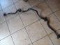 Preview: Fiat Punto 188 Stabilisator Stabi Vorne