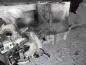 Preview: Nissan Pixo 1,0L Schaltgetriebe Getriebe 5-gang
