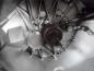 Preview: Renault Laguna III 2,0 Getriebe Schaltgetriebe 7701700565