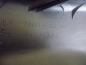 Preview: Opel Agila A Ablagefach Abdeckung Links 09203694