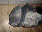 Preview: Ford Focus Radhausverkleidung Vorne Rechts 2M5116114AB