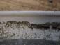 Preview: Original Ford Focus Verkleidung rechts hinten 98AB-N42906-AJW