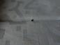 Preview: VW Golf 4 Bj 1999 Komplett sitze Stoff Sitze Aus 4 t?rer