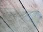 Preview: Opel Corsa C Bj 2001 original Fensterscheibe Links E6 43R-007951