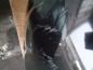 Preview: KIA Carnival Bj:05 2.9 CRDI Stoßstange Hinten Farbe: 9P Midenight Black