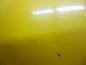 Preview: Renault Kangoo KC0/1 Motorhaube Farbe: Gelb