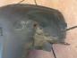 Preview: Opel Astra H Bj:08 Radhausschale Vorne Links 13125604