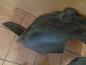 Preview: Peugeot 307 Kombi Bj:2004 Radschale Radhausschale Hinten Links 9634077680