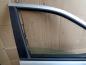 Preview: Seat Leon 1M Tür Vorne Rechts Silber Farbcode: LS7N