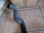 Preview: Ford Galaxy Ladeluftschlauch Druckrohr 7M0145958D