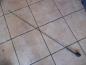 Preview: Renault Laguna I B56 Dachantenne