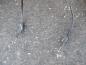 Preview: VW Golf IV 1,4L Hinterachse Achsträger mit Handbremsseile 1j0609721