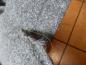 Preview: VW Golf IV Kofferraumverkleidung Hinten 1J6867427/ 1J6867428