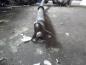 Preview: BMW 5 F10 F11 Differential Hinterachse Achsträger Kardanwelle 7584450