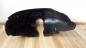 Preview: Audi A4 Bj.1998 Radhausschale Hinten Links 8D0810171