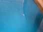 Preview: Renault Twingo C06 Motorhaube Vorne Farbe: Hellblau