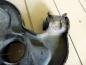 Preview: Ford Fiesta IV Querlenker Vorne Links