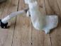 Preview: Peugeot 307 Bj:2004 Wischwasserbehälter mit Pumpe 9634371480