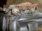 Preview: Ford Mondeo I 1,6L Kraftstofftank Benzinpumpe und Einf?llstutzen 93BB-9002AN