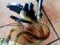 Preview: VW Passat Kraftstoffpumpe Tankgeber 4B0906087AN