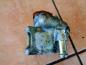 Preview: Seat Arosa 6H Bj:2000 1,0 Servopumpe Servo Pumpe Servolenkung 030145157D