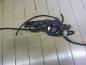 Preview: VW Golf IV Magnetventil Druckwandler 1J0906483C