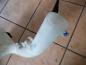 Preview: Ford Fiesta V Waschwasserbehälter Waschwasserpumpe 2S61-17618-AH