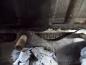 Preview: Fiat Bravo 182 1,6 Motor 46752115 00465565800