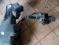 Preview: Renault Laguna I Kraftstofftank mit Kraftstoffpumpe 7700420506 / 7700414742
