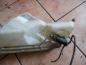 Preview: Peugeot 206 1,4l Scheibenwaschbehälter 9628747380