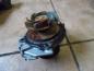 Preview: Fiat Grande Punto 199 1,2L Wasserpumpe