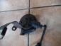 Preview: VW Touran 1T Signalhorn Hupe 1K0951221