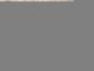 Preview: Renault Scenic Zahnriemenabdeckung Deckel 027196