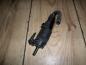Preview: Renault Twingo Waschwasserpumpe 7700821782