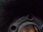 Preview: Ersatzrad Reserverad Opel 6,5x16 ET37 205/55R16 91H 2160128