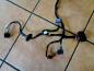 Preview: Seat Leon 1M Bj 2001 T?rkabelbaum Hinten Rechts 1M0971694