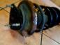 Preview: Ford Focus DAW Bj:2002 Sto?d?mpfer D?mpfer Vorne Links 98AG18K001AK